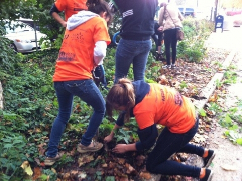 two students dig in soil near green plants