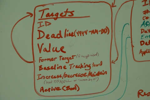 iCAP Portal Fields & Relationships - Targets