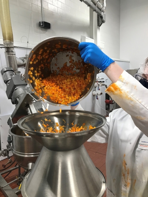Diced pumpkin being inputted into equipment for processing.