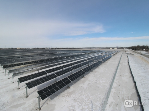 solar panels in many rows stretch into the distance with snow on the ground under a blue sky