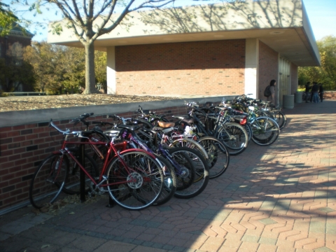Bicycle Parking at the Undergraduate Library plaza - picture 1