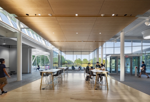An open seating area in the back of the first floor open to daylight and views of greenery out the back windows.