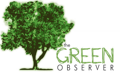 Fall 2012 Green Observer 2013 Image